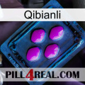 Qibianli 04